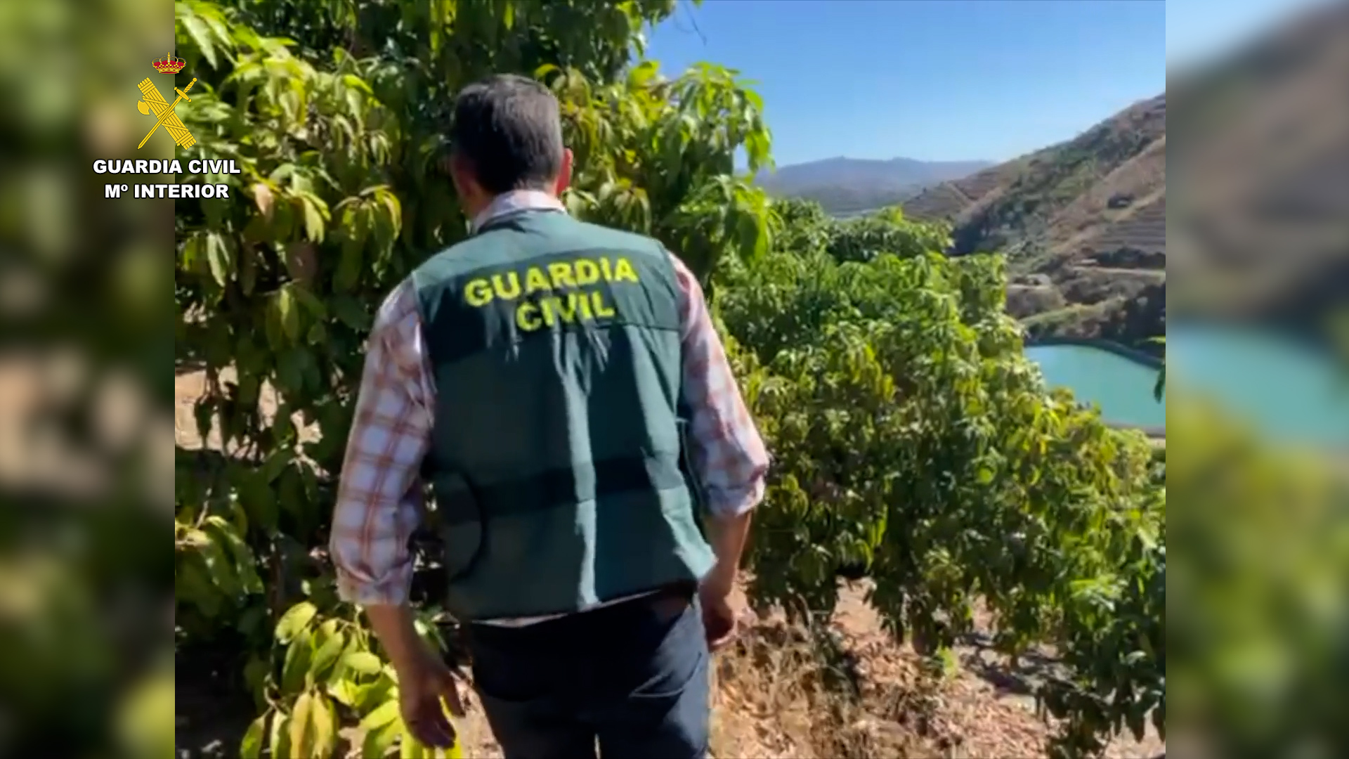 2025-07-08_op_aridum_malaga_01-1 La Guardia Civil investiga a 38 personas por captaciones ilegales de agua en la provincia de Málaga