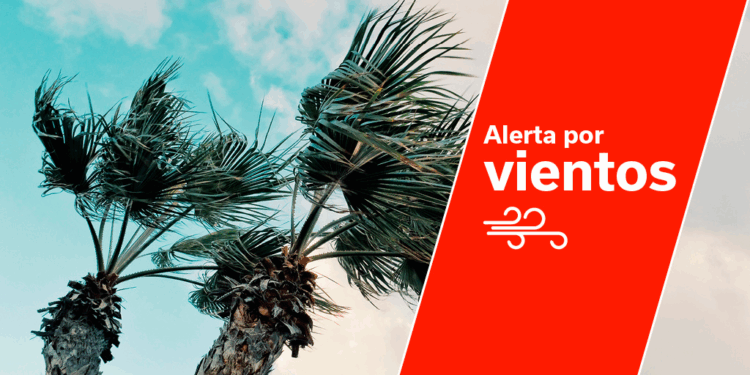 El Gobierno de Canarias actualiza la situación pasando a alerta por viento en La Gomera