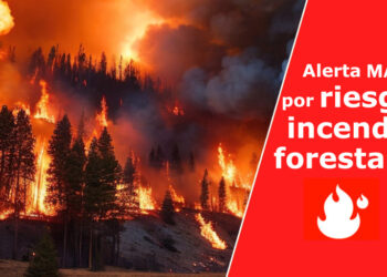 El Gobierno declara la situación de alerta máxima por riesgo de incendios forestales en La Gomera y Gran Canaria