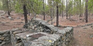 Área Recreativa Las Hayas-Icod de los Vinos