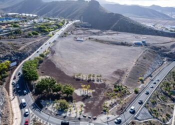 bosque termofilo adeje-6