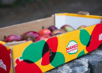 GMR Canarias impulsa la comercialización de más de 100.000 kg de mangos de La Gomera a través de una nueva imagen
