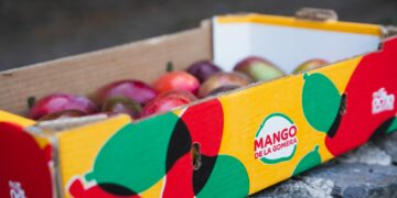 GMR Canarias impulsa la comercialización de más de 100.000 kg de mangos de La Gomera a través de una nueva imagen