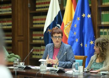 El nuevo decreto de dependencia ha permitido realizar 1.300 resoluciones con prestación durante el primer mes