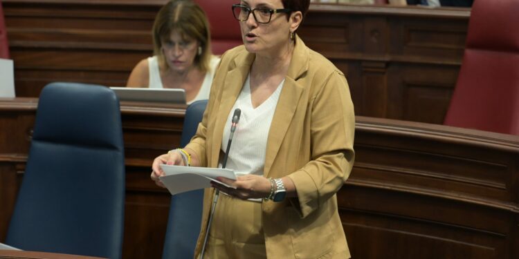 Candelaria Delgado acusa a la oposición de mentir y presentar datos falsos en el Parlamento
