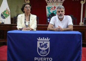 El concejal David Hernández presentó la primera comunidad energética de Puerto de la Cruz (I)