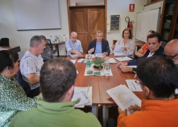 Foto archivo Mesa Insular Apicultura