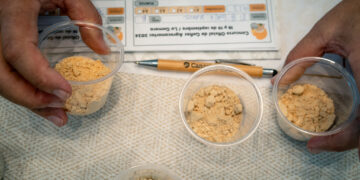 El Gobierno de Canarias convoca el Concurso Oficial de Gofios Agrocanarias 2025