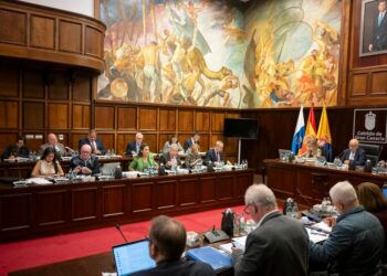 GRUPO POPULAR EN PLENO CABILDO GRAN CANARIA