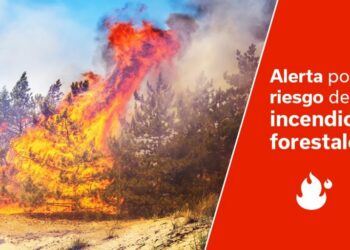 Actualización INFOCA: situación de alerta por riesgo de incendios forestales en islas occidentales y Gran Canaria