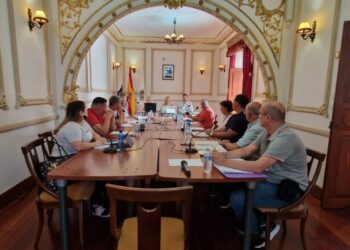 Junta del Distrito Tamaraceite-San Lorenzo-Tenoya del mes de julio