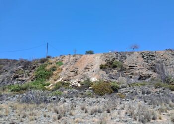 Limpieza finaliza la actuación en la ladera de Lomo Gordo tras una intervención en dos fases 3