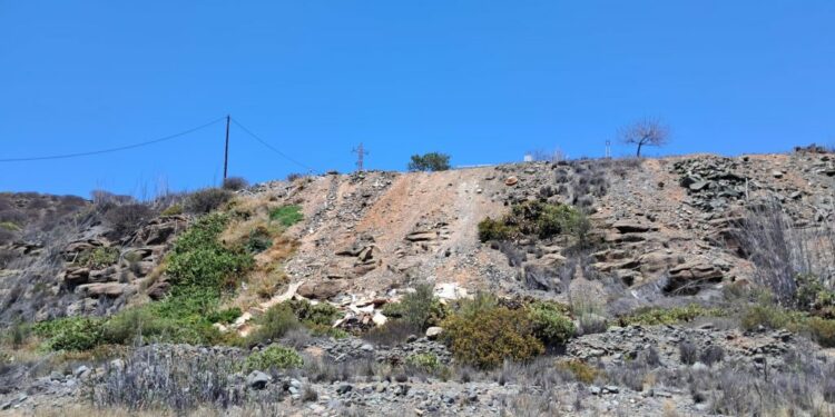 Limpieza finaliza la actuación en la ladera de Lomo Gordo tras una intervención en dos fases 3