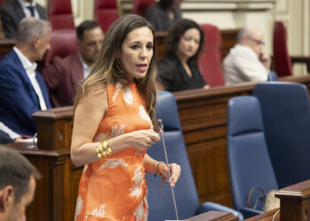 De León pide altura de miras en el Parlamento para mejorar las condiciones laborales de las camareras de piso