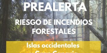 El Gobierno de Canarias finaliza la situación de alerta por riesgo de incendios forestales
