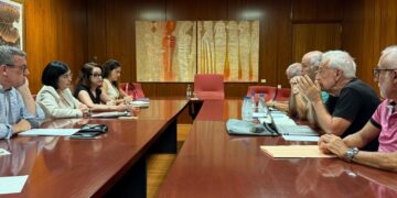 Reunión de la alcaldesa, Carolina Darias, junto a representantes vecinales de Las Torres