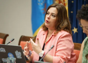 Calzada avisa de la insuficiencia de fondos para electrificar los puertos de Las Palmas