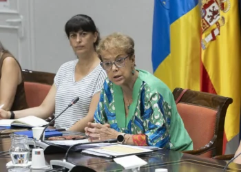 Para el Consejo Escolar de Canarias es «fundamental» renovar el pacto por la educación
