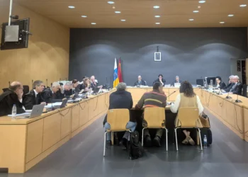 Los peritos judiciales ratifican las irregularidades que apreciaron en los contratos de Sercanarias con Emalsa