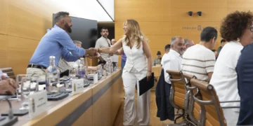 El Cabildo y los ayuntamientos de Tenerife abordan empleo, vivienda, agua, movilidad y emergencia