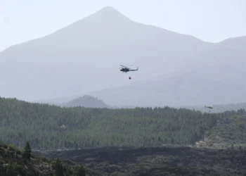 Despliegan un operativo de 80 personas para evitar reactivaciones del incendio de El Tanque (Tenerife)