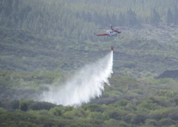 Controlado el incendio de Tenerife tras afectar cerca de 82 hectáreas