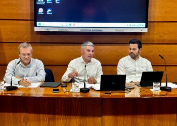 El Gobierno prohíbe el movimiento de material vegetal de vid y uva fresca para evitar la propagación de la filoxera