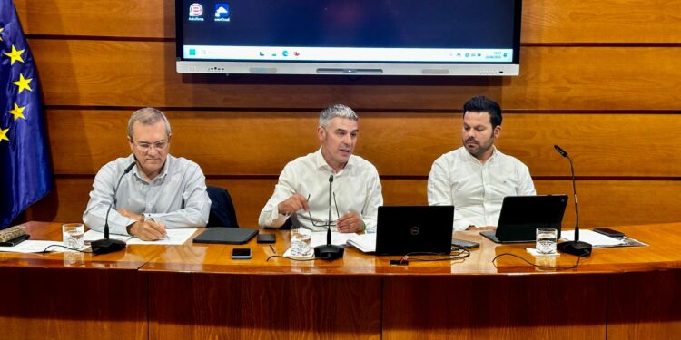 El Gobierno prohíbe el movimiento de material vegetal de vid y uva fresca para evitar la propagación de la filoxera