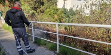 Control de plagas en Las Palmas de Gran Canaria