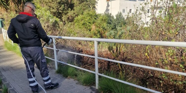 Control de plagas en Las Palmas de Gran Canaria