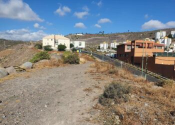 El Ayuntamiento licita la creación de una senda peatonal verde con un mirador y espacios biosaludables entre El Lasso y Pedro Hidalgo (El Lasso)