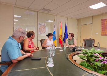 Bienestar Social y el Colegio de Trabajo Social impulsan el protocolo contra el maltrato a mayores