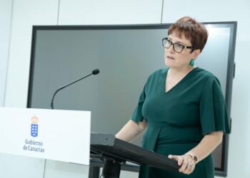 Canarias insiste: “El Estado debe cumplir los autos del Supremo y acelerar las derivaciones de menores migrantes»