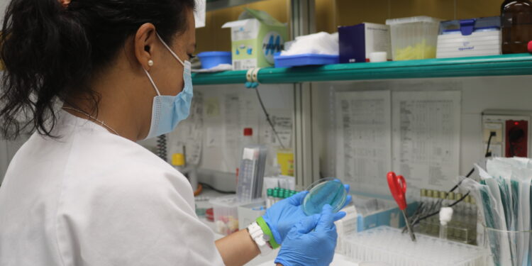 Sanidad investiga un brote de toxiinfección alimentaria en Gran Canaria por salmonella