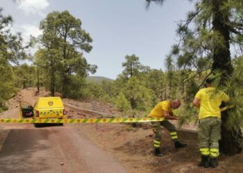 Medidas 10 agosto 2025 (1)