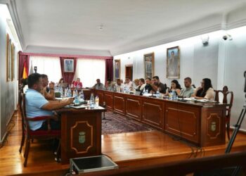 Pleno Arona Julio 2025