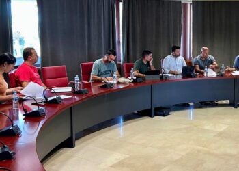 El Gobierno de Canarias y el Cabildo de La Gomera avanzan en el control del picudín de la palmera