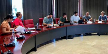 El Gobierno de Canarias y el Cabildo de La Gomera avanzan en el control del picudín de la palmera