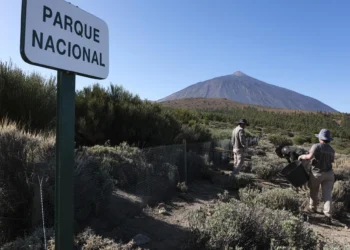 El IGN no ve indicios de una erupción en breve en el Teide tras un nuevo enjambre sísmico
