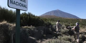 El IGN no ve indicios de una erupción en breve en el Teide tras un nuevo enjambre sísmico