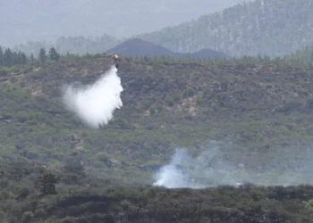Investigado un apicultor por presunto autor del incendio en El Tanque (Tenerife) del pasado julio