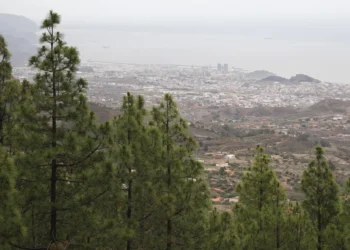 El Cabildo de Tenerife aprueba el céntimo forestal para actuaciones medioambientales