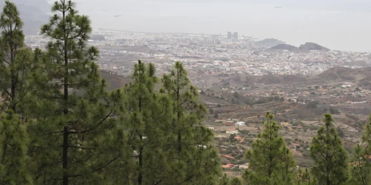 El Cabildo de Tenerife aprueba el céntimo forestal para actuaciones medioambientales