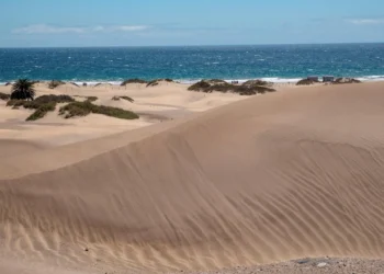 Refuerzan la vigilancia en las Dunas de Maspalomas ante entre 150 y 300 accesos indebidos diarios