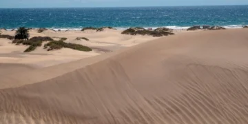 Refuerzan la vigilancia en las Dunas de Maspalomas ante entre 150 y 300 accesos indebidos diarios