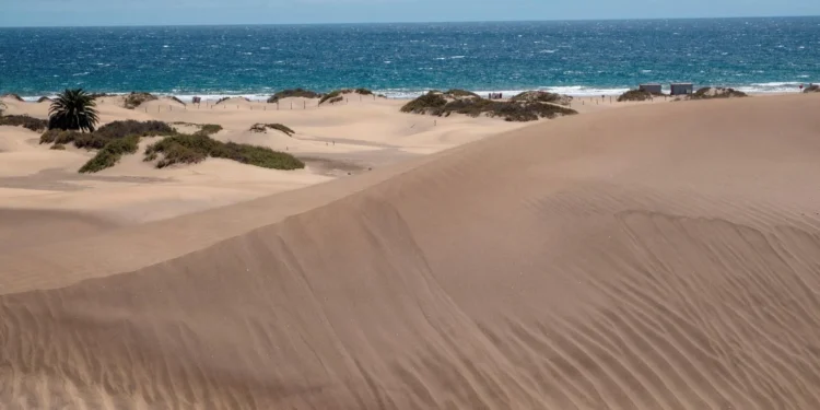 Refuerzan la vigilancia en las Dunas de Maspalomas ante entre 150 y 300 accesos indebidos diarios