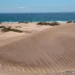 Refuerzan la vigilancia en las Dunas de Maspalomas ante entre 150 y 300 accesos indebidos diarios