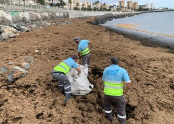 Tareas de limpieza en el barrio de San Criistóbal