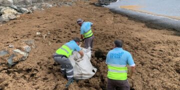 Tareas de limpieza en el barrio de San Criistóbal