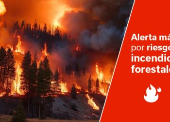 El Gobierno de Canarias mantiene la situación de alerta máxima por riesgo de incendios forestales